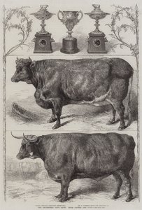 Exposition de bétail du Smithfield Club, bétail primé et coupes